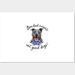 Pitbulls Posters and Art